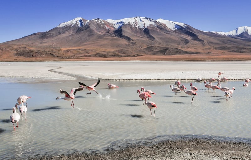 Andes Mountains